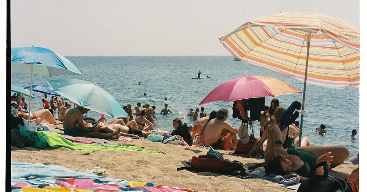 Colorful beach umbrellas and lounge chairs lined up on a sandy beach, organized setup on a busy summer beach day